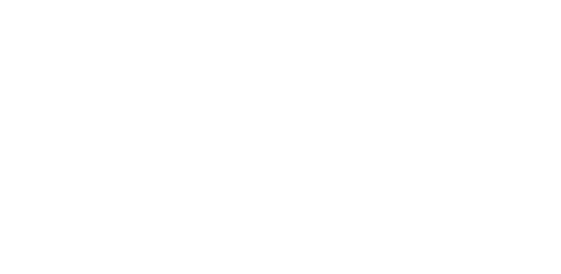 light logo